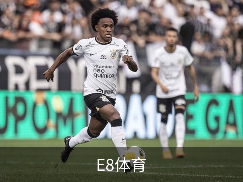 了解E8体育